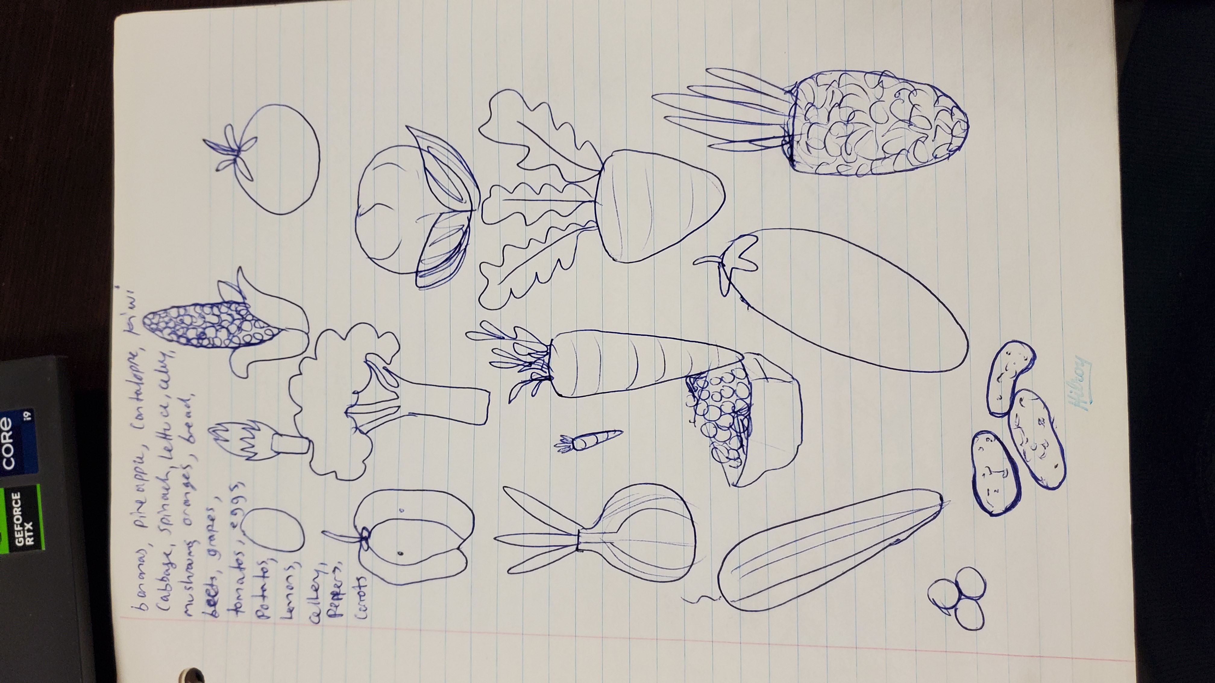 CHEP Sketch